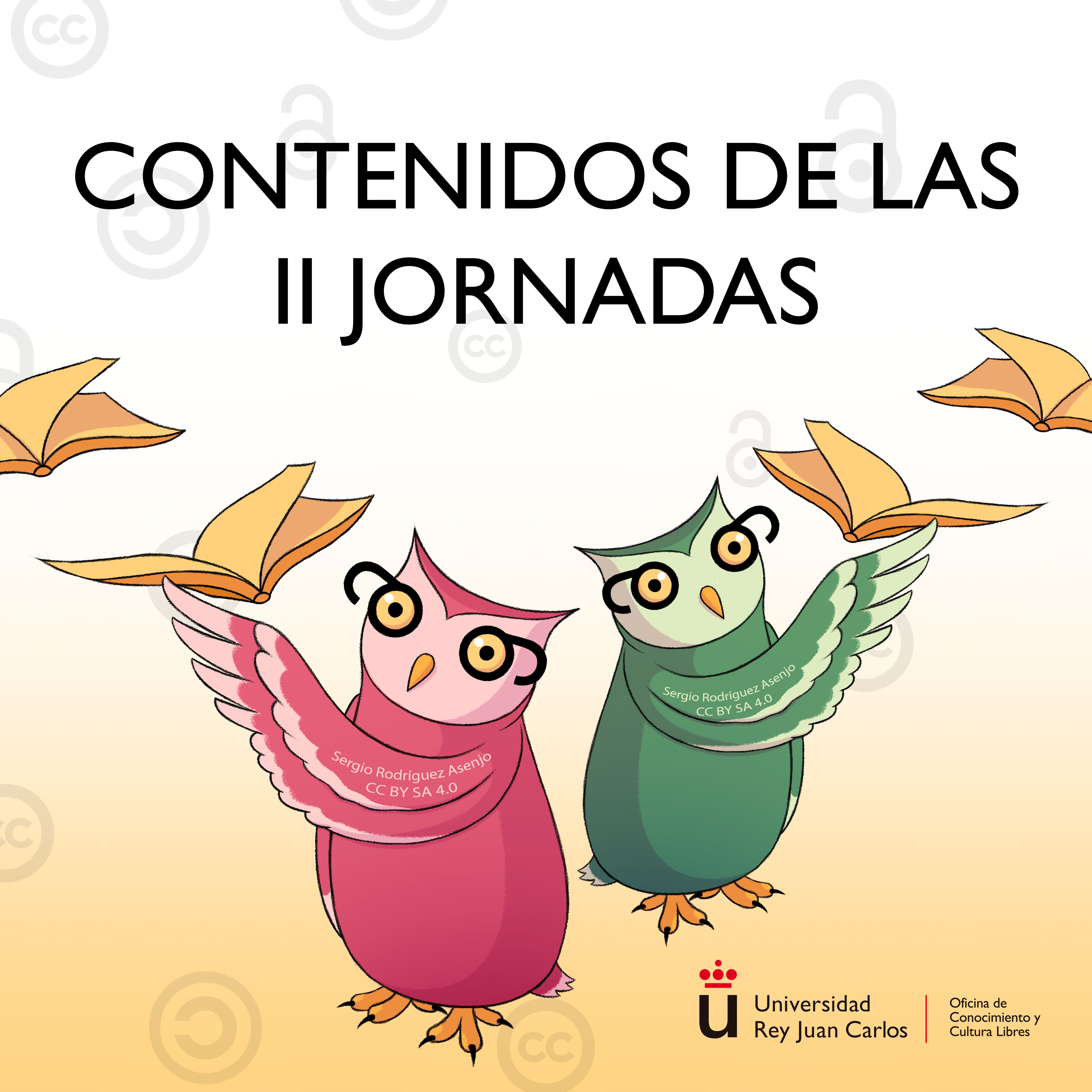 Contenidos de las II Jornadas